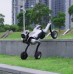 Quadruped Smart AI Robot Dog Quadruped Smart AI Robot Dog