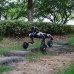 Quadruped Smart AI Robot Dog Quadruped Smart AI Robot Dog