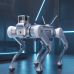 Industrial Quadruped Robot