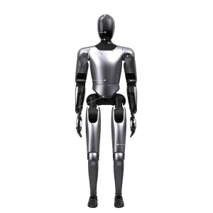 Humanoid Robot Humanoid Robot