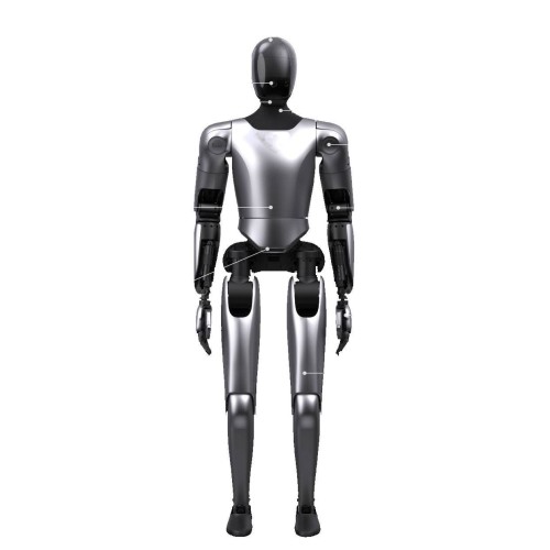 Humanoid Robot