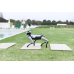 AI Intelligence Intelligent Robot AI Intelligence Intelligent Robot
