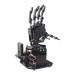 Robot's five-fingered right hand